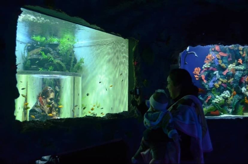 Acuario
