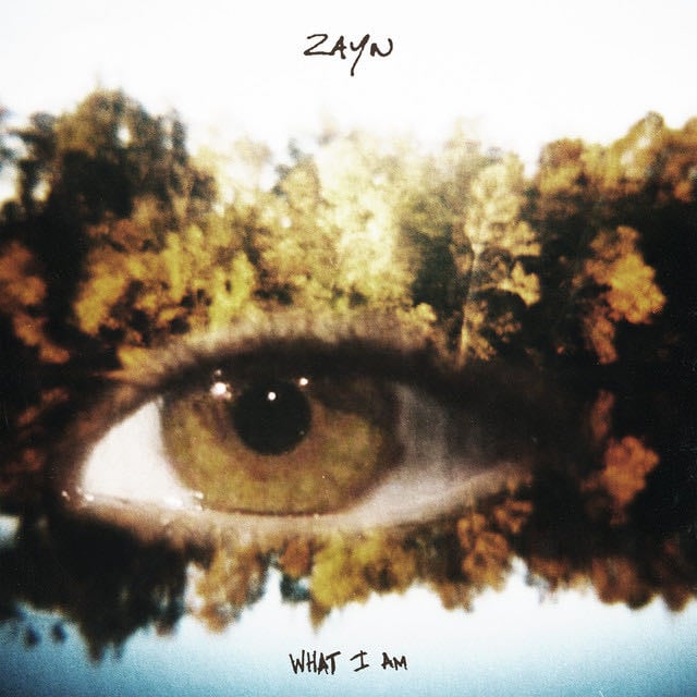 What I Am - Song 路 ZAYN