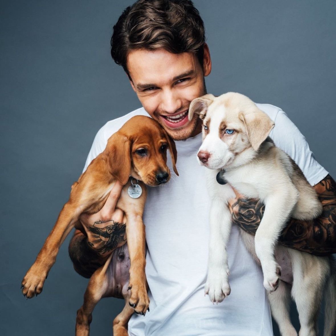strip that down liam