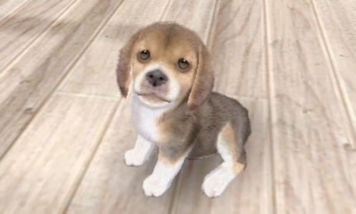Nintendogs: Best Friends - Nintendo DS • 2005