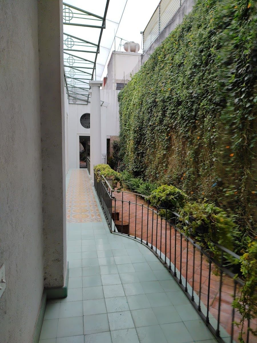 NARANJO 141