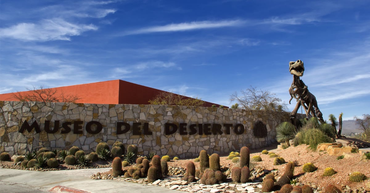 Museo del Desierto - Museo