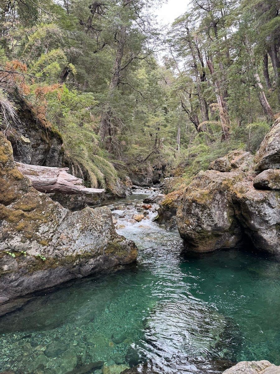 Pozones del Arroyo Claro