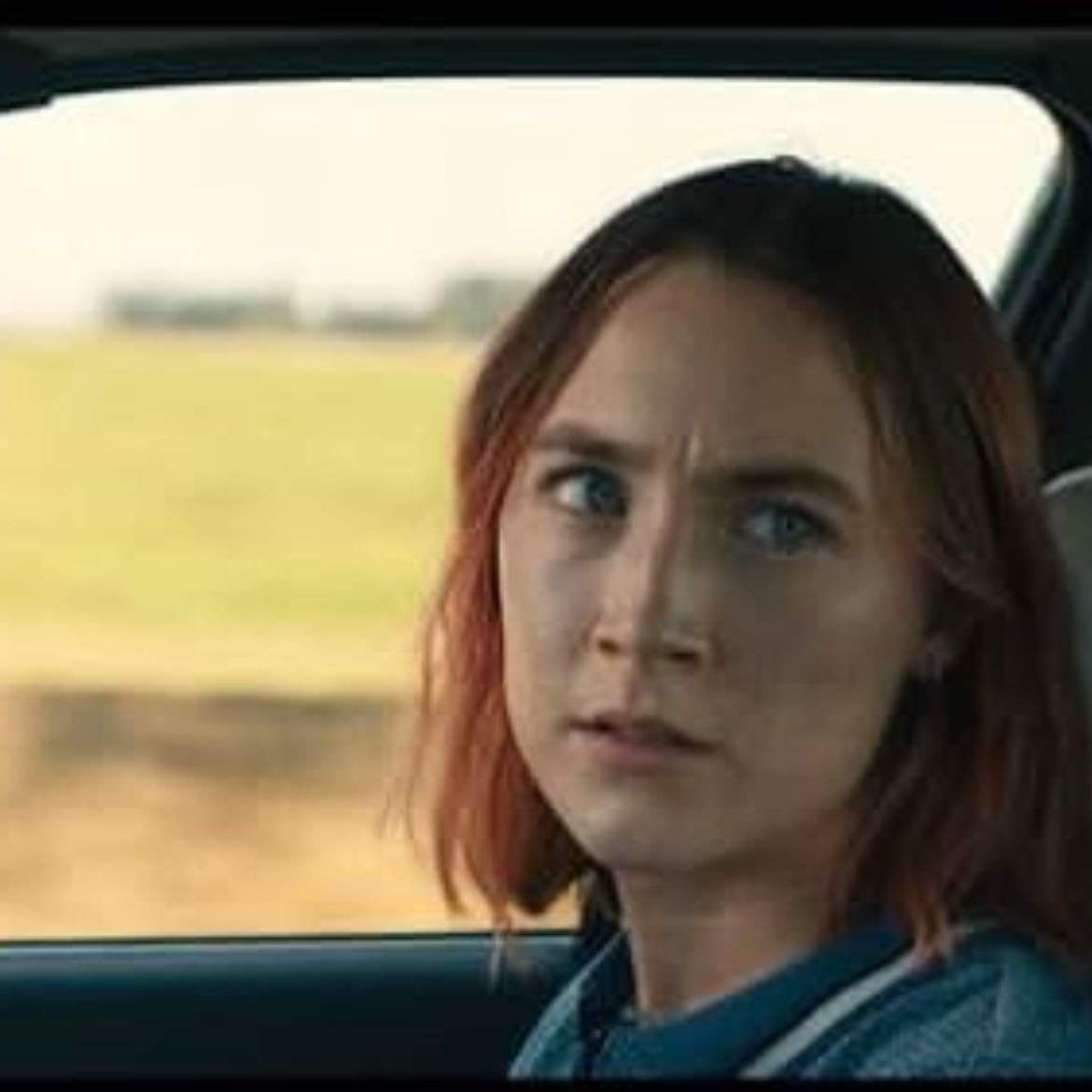 lady bird