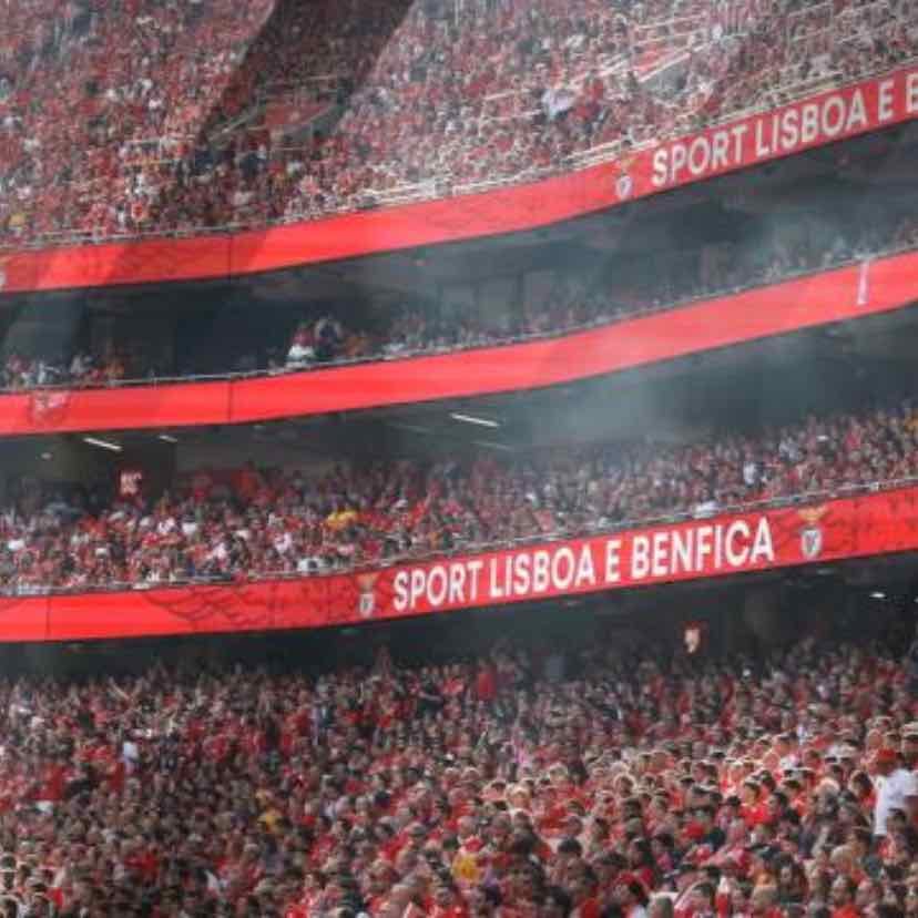 Benfica RedPass - 800€