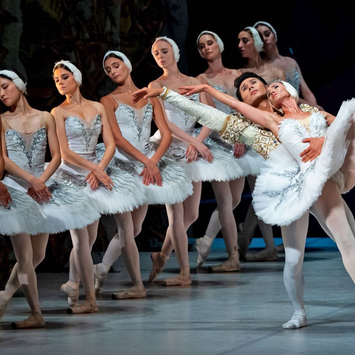swan lake