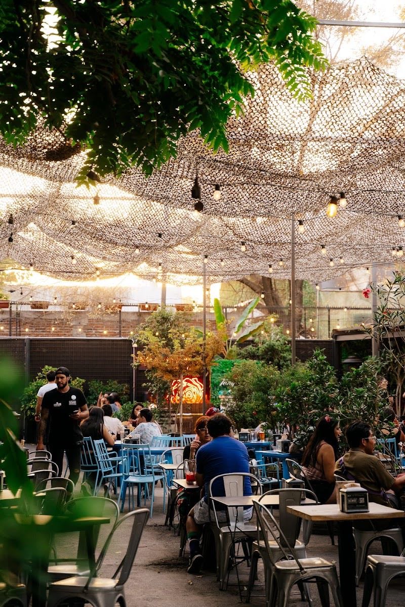 Jardín Mallinkrodt - Tenedor libre sushi