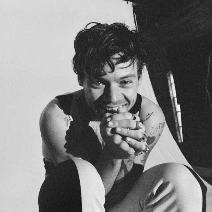 harry styles - fav album: harryβs house π fav songs: little freak, matilda, sign of the times