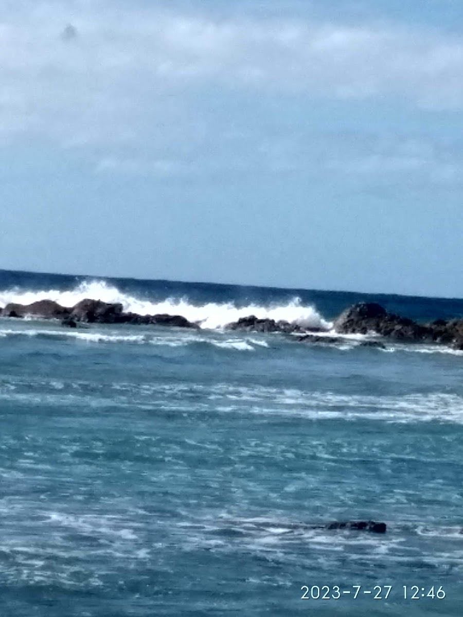Little Wategos Beach