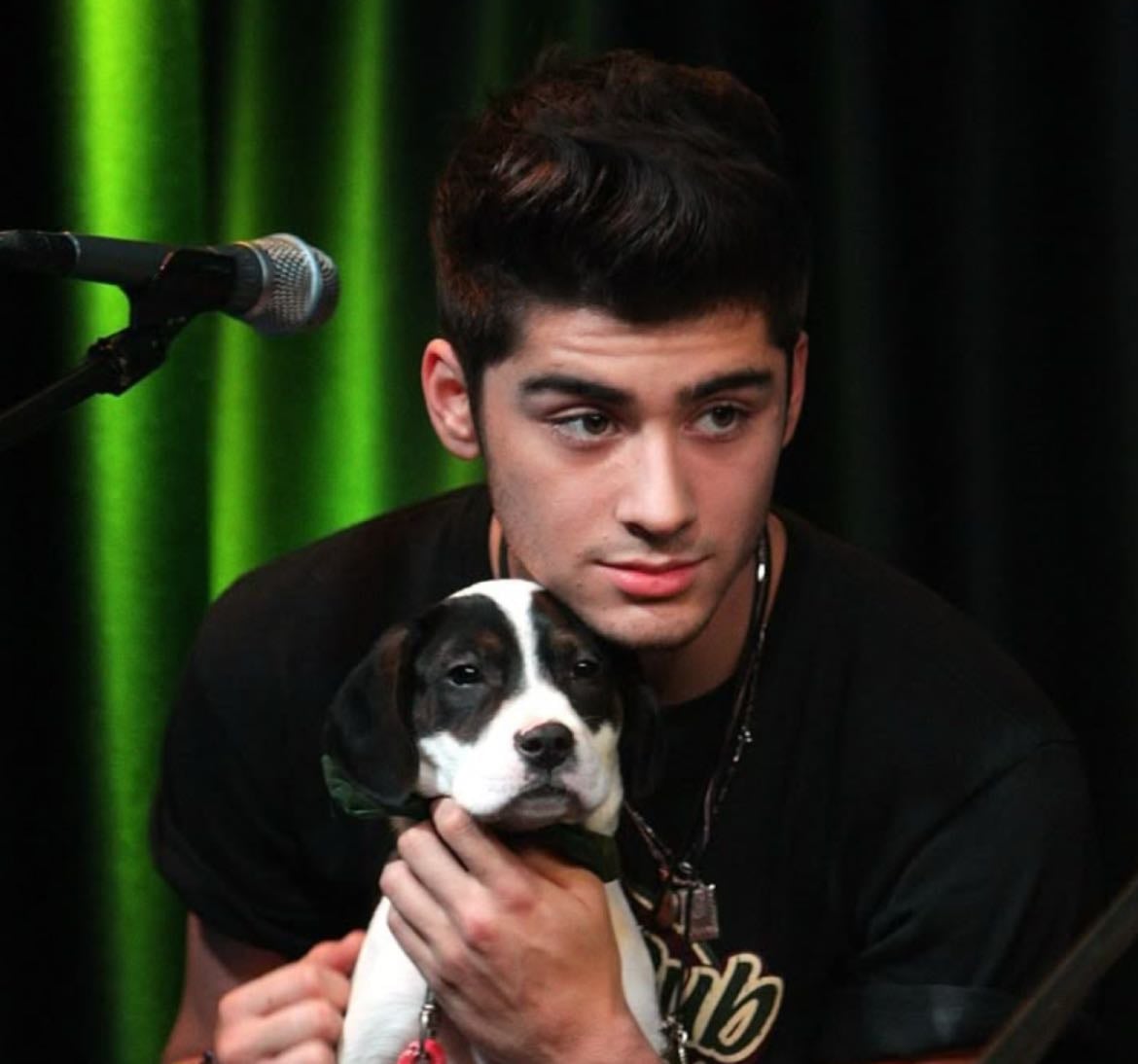 The best zayn malik songs from each album !! - Music hypelist by 饾摐饾摢饾摶饾摻饾摢 饾摫饾摳饾摶饾摢饾摲