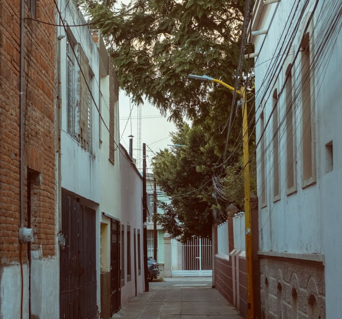 savannah area