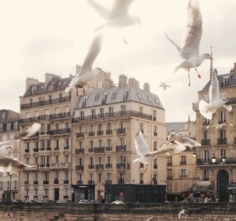 Paris