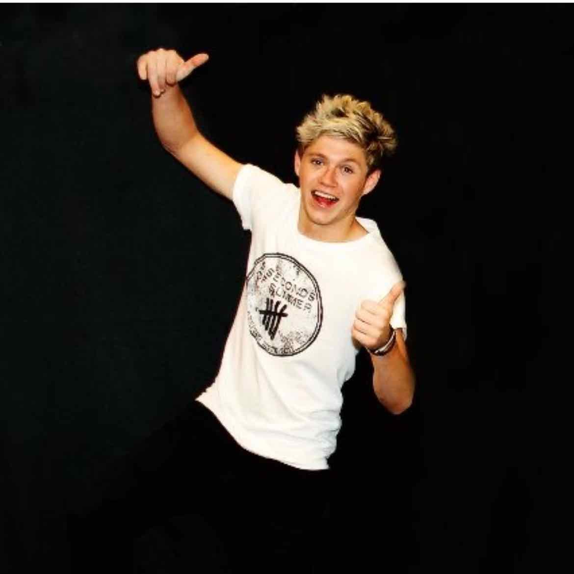 niall horan - he's done a concert in my country this year on May 13th !! i also watched it through a livestream because i couloget tickets :( but the concert went great !!