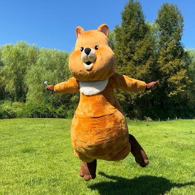 NavyQuokka - Artist