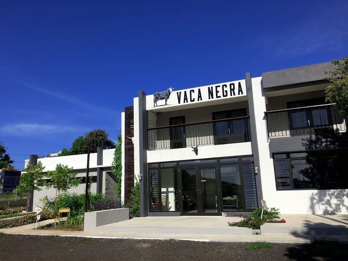 Vaca Negra