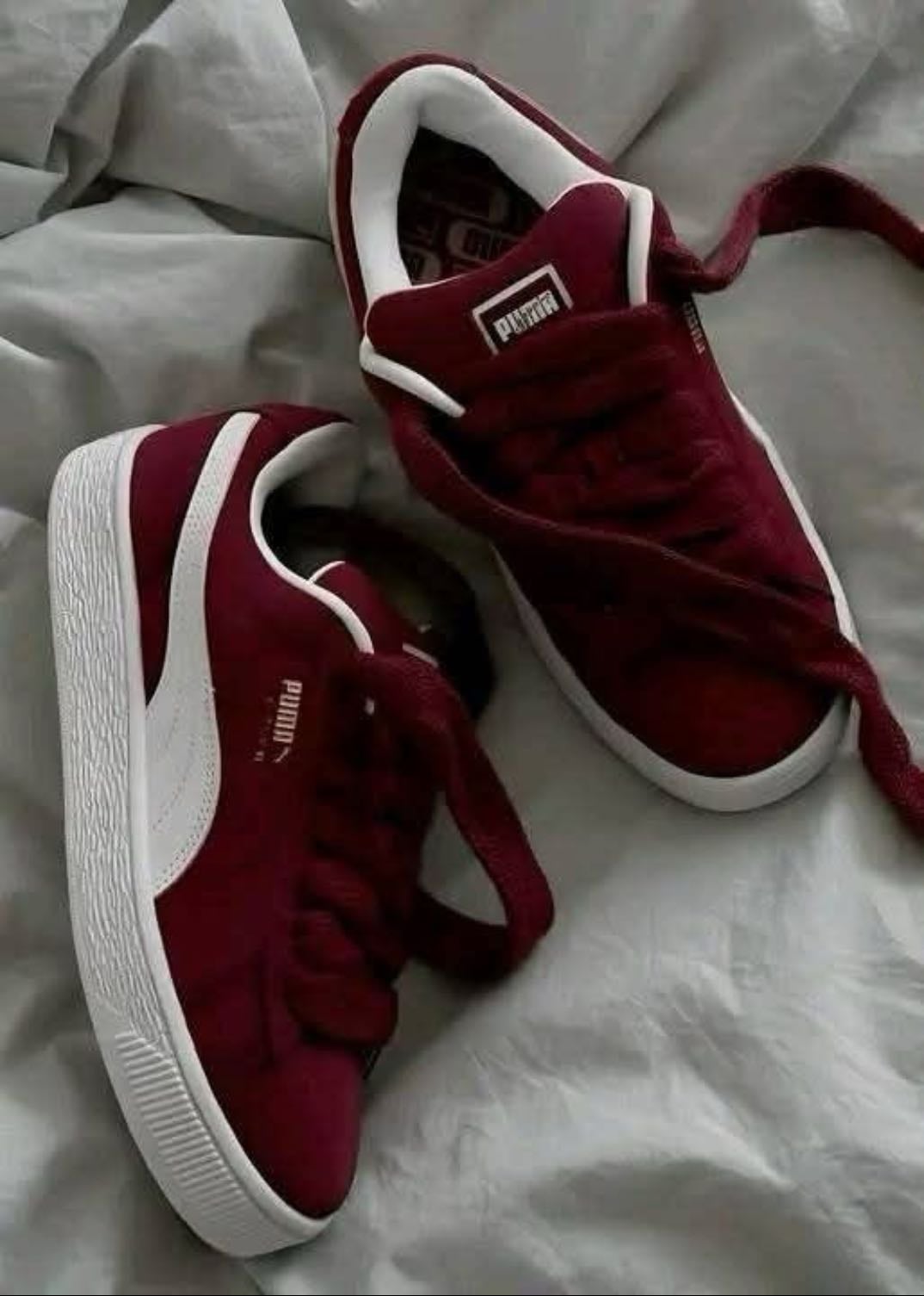 Puma suede xl