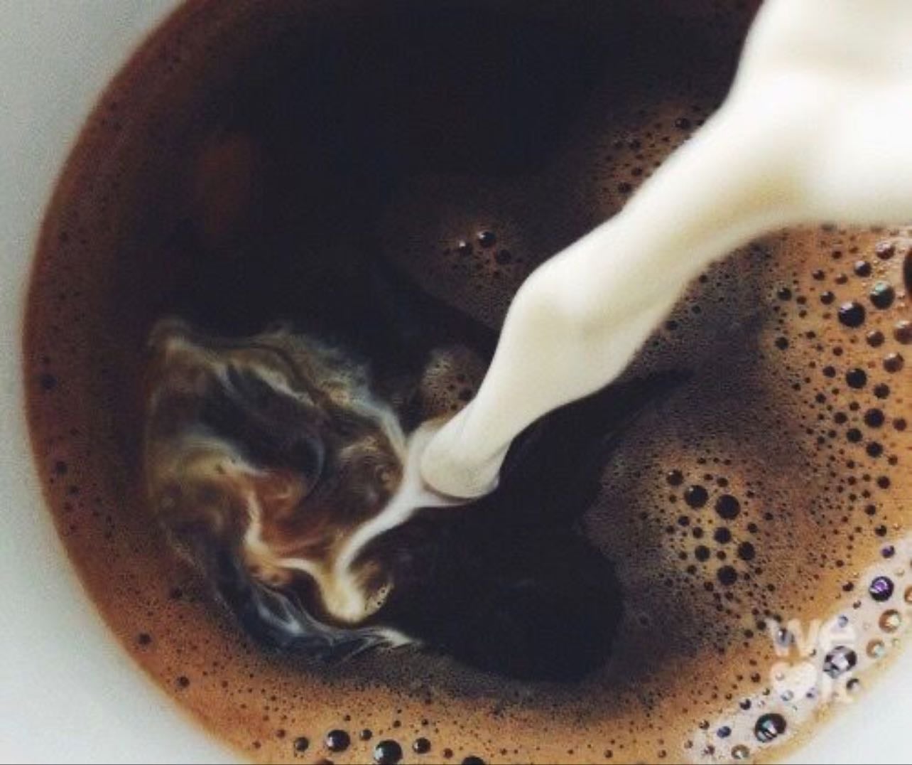 Café - amo el café, sin nada, simplemente el café y sustitutos, es tan delicioso basta
no vivo sin el