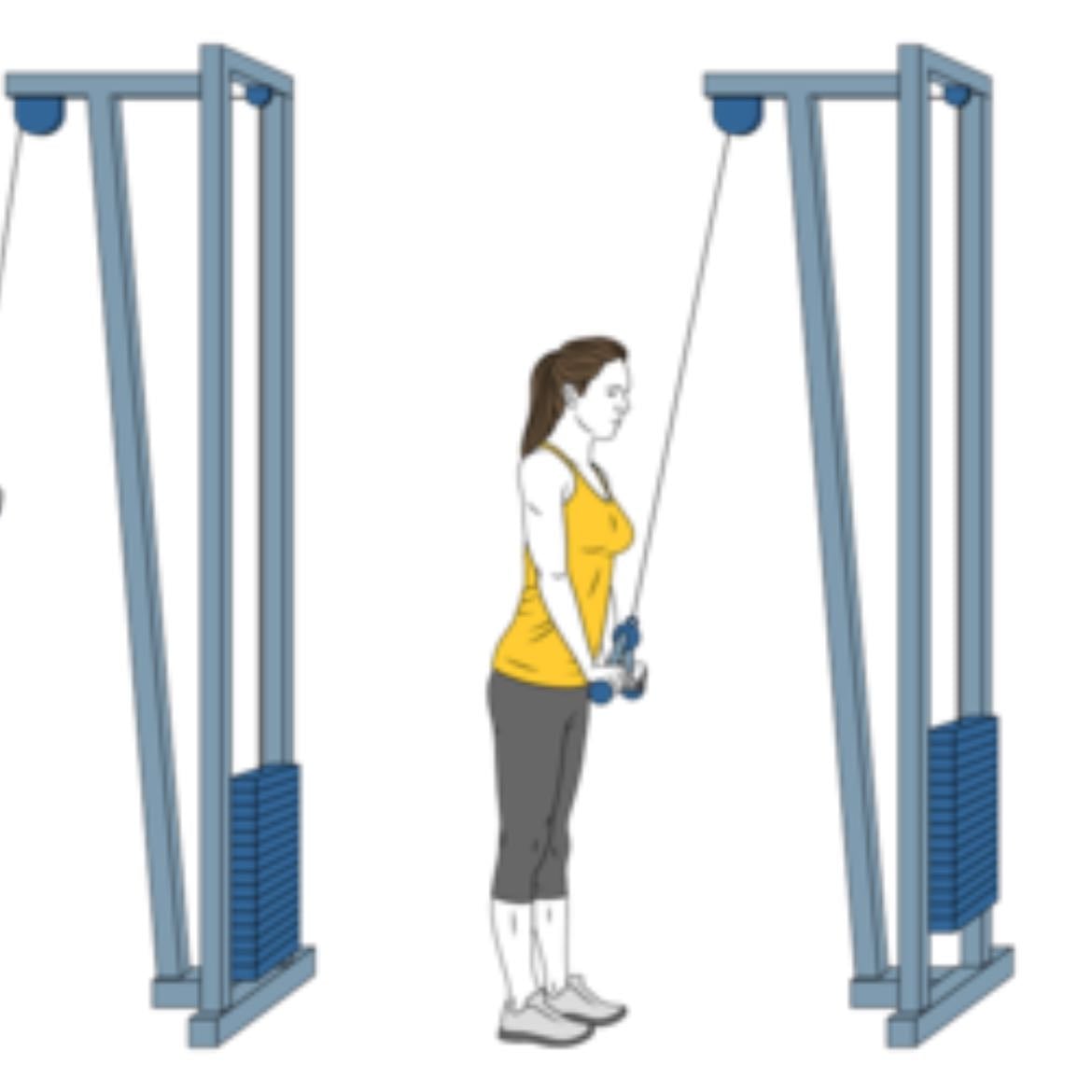 Triceps polea barra