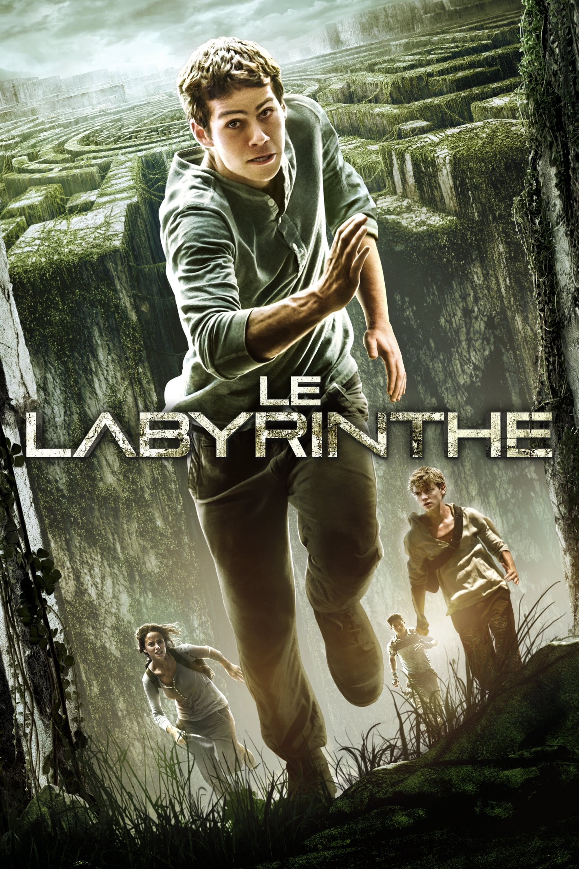 The Maze Runner - Wes Ball · 2014