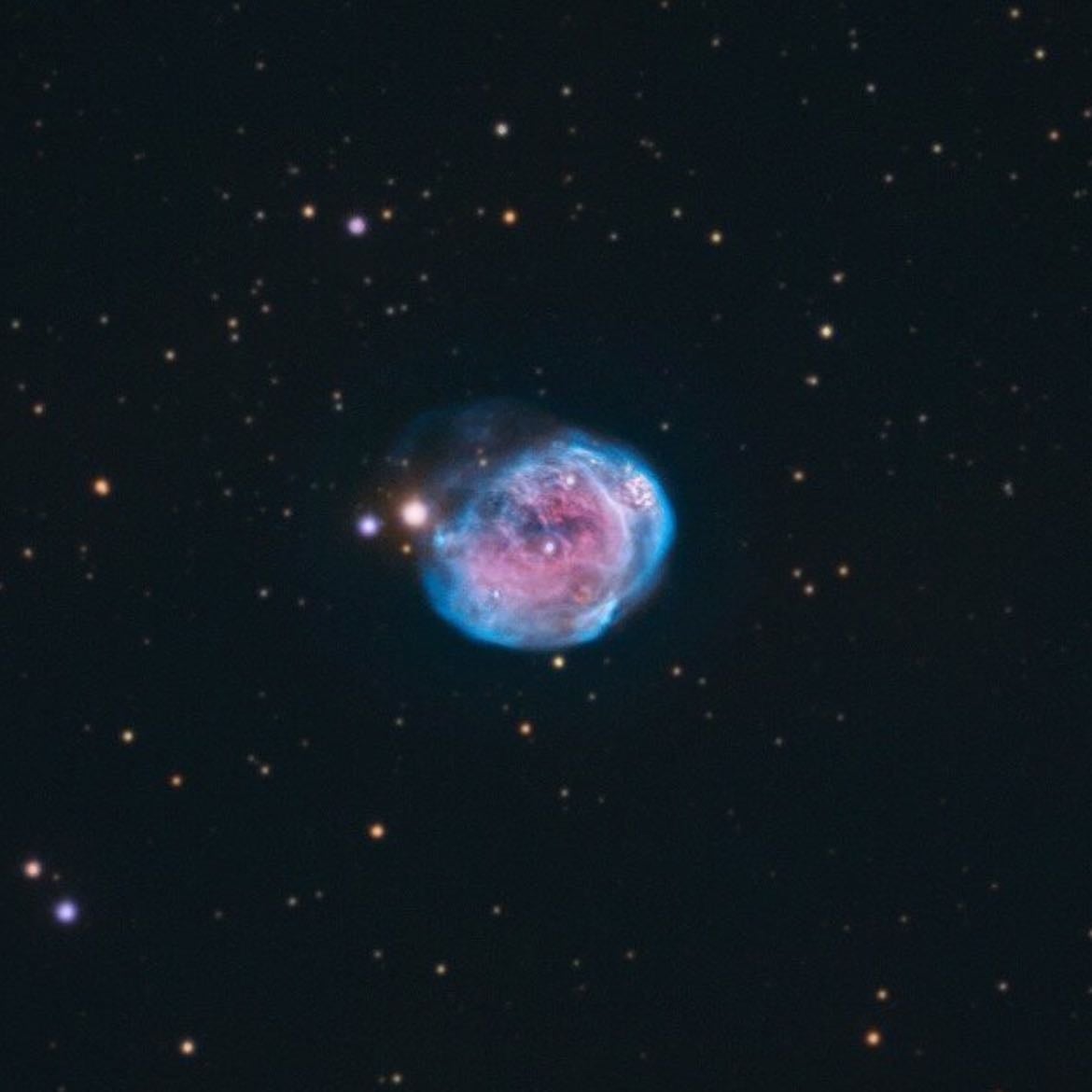 Fetus - NGC 7008