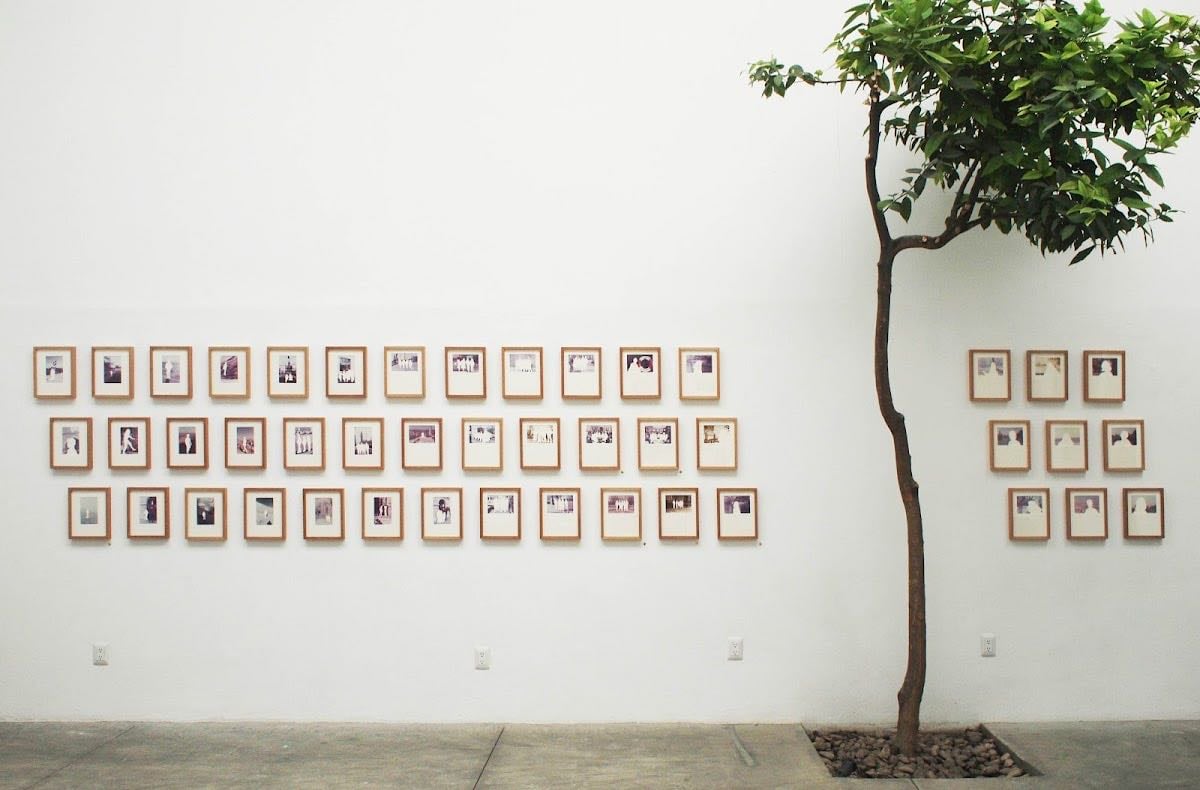 Patricia Conde Galería