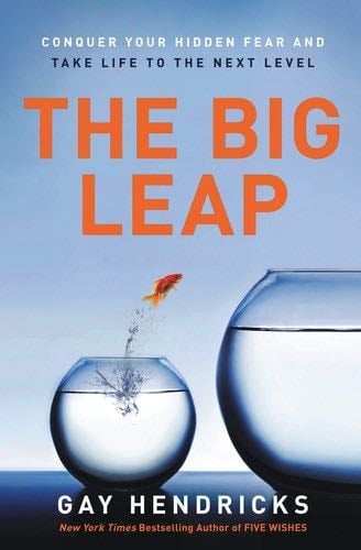 The Big Leap: Conquer Your Hidden Fear and Take Life to the Next Level - Gay Hendricks · 2010