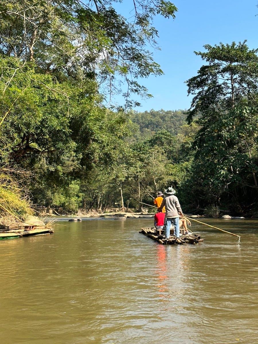 Bamboo Rafting ( Panda Tour )