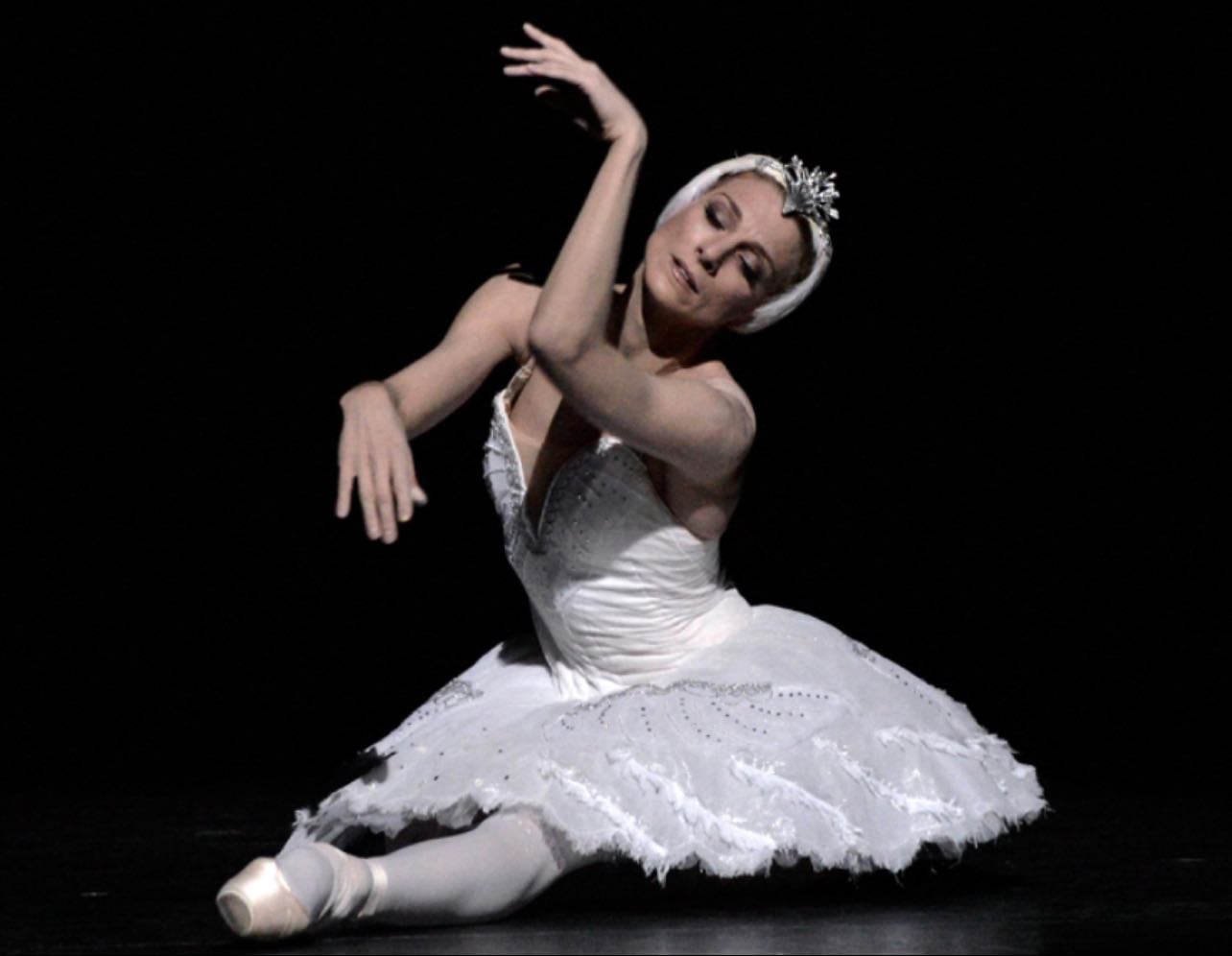 The Dying Swan