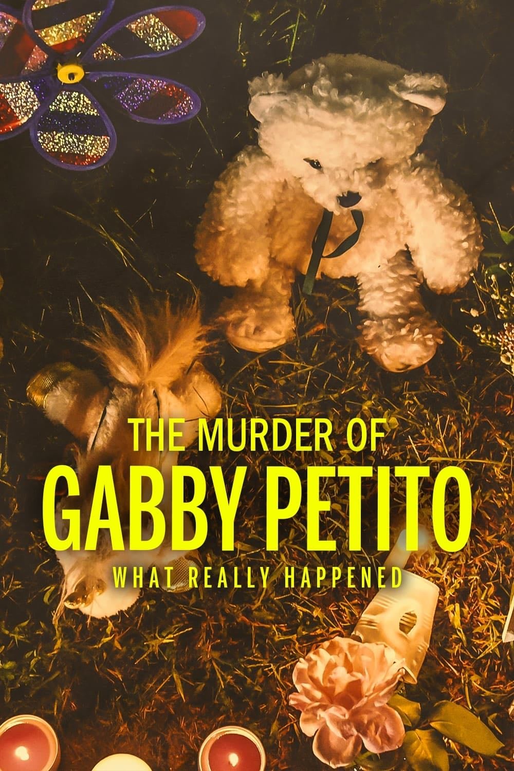 Gaby Petito: toda la verdad - Lauren J. Przbyszewski · 2022
