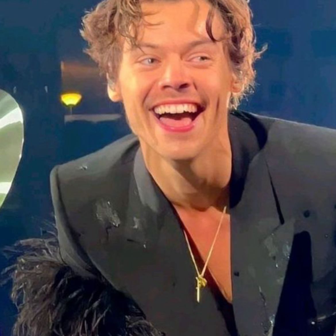 harry styles