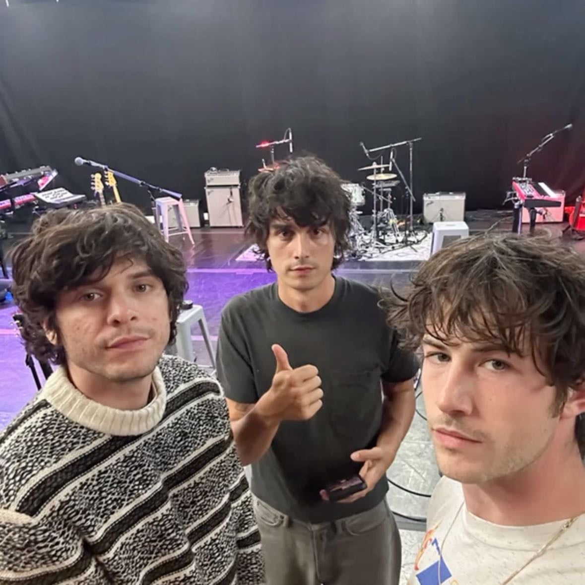 wallows
