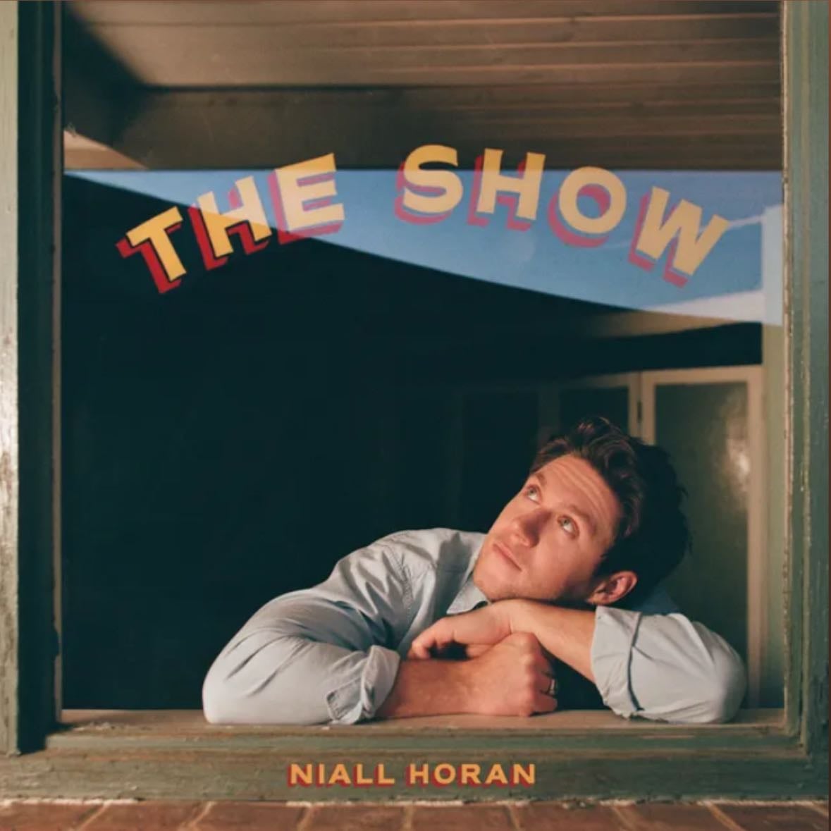 the show - niall horan- black pressing