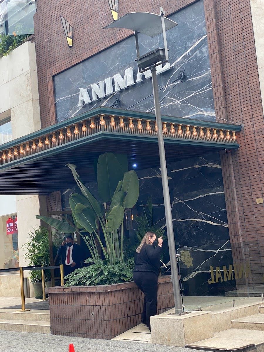 Animal