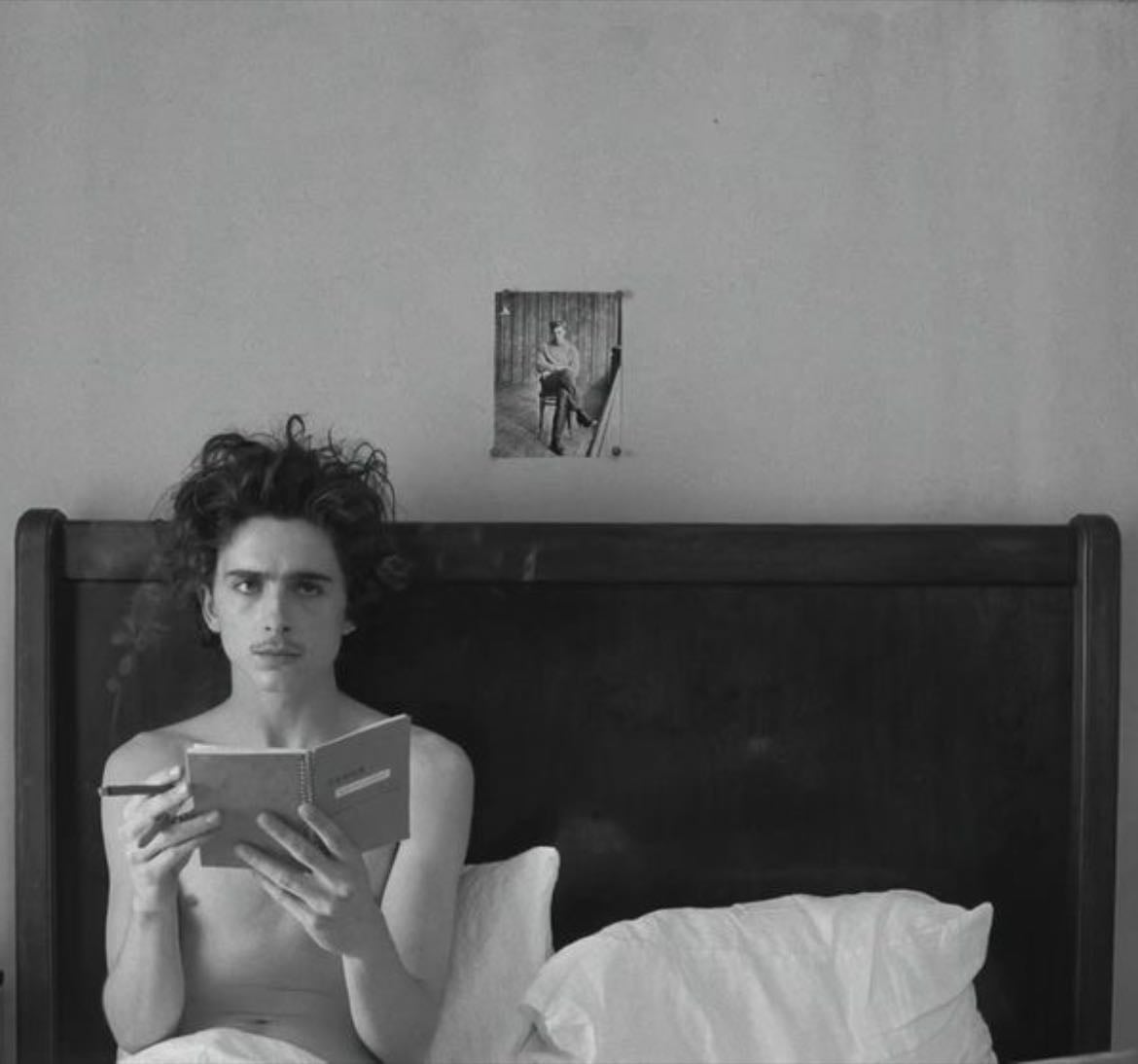 Wes Anderson movie night