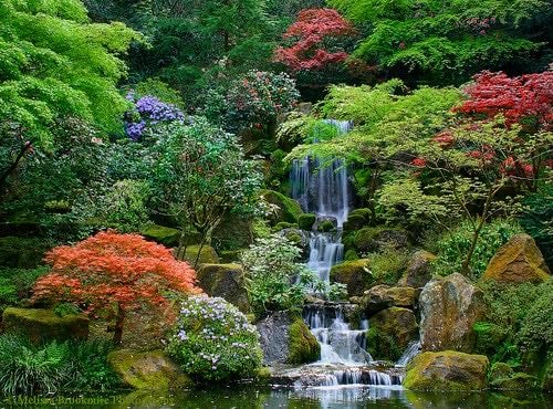 Portland Japanese Garden - Beautiful during any season