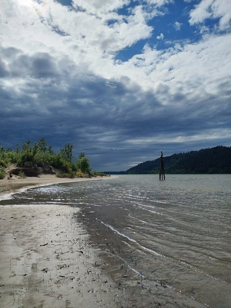Rooster Rock Nude Beach - Suns out buns out