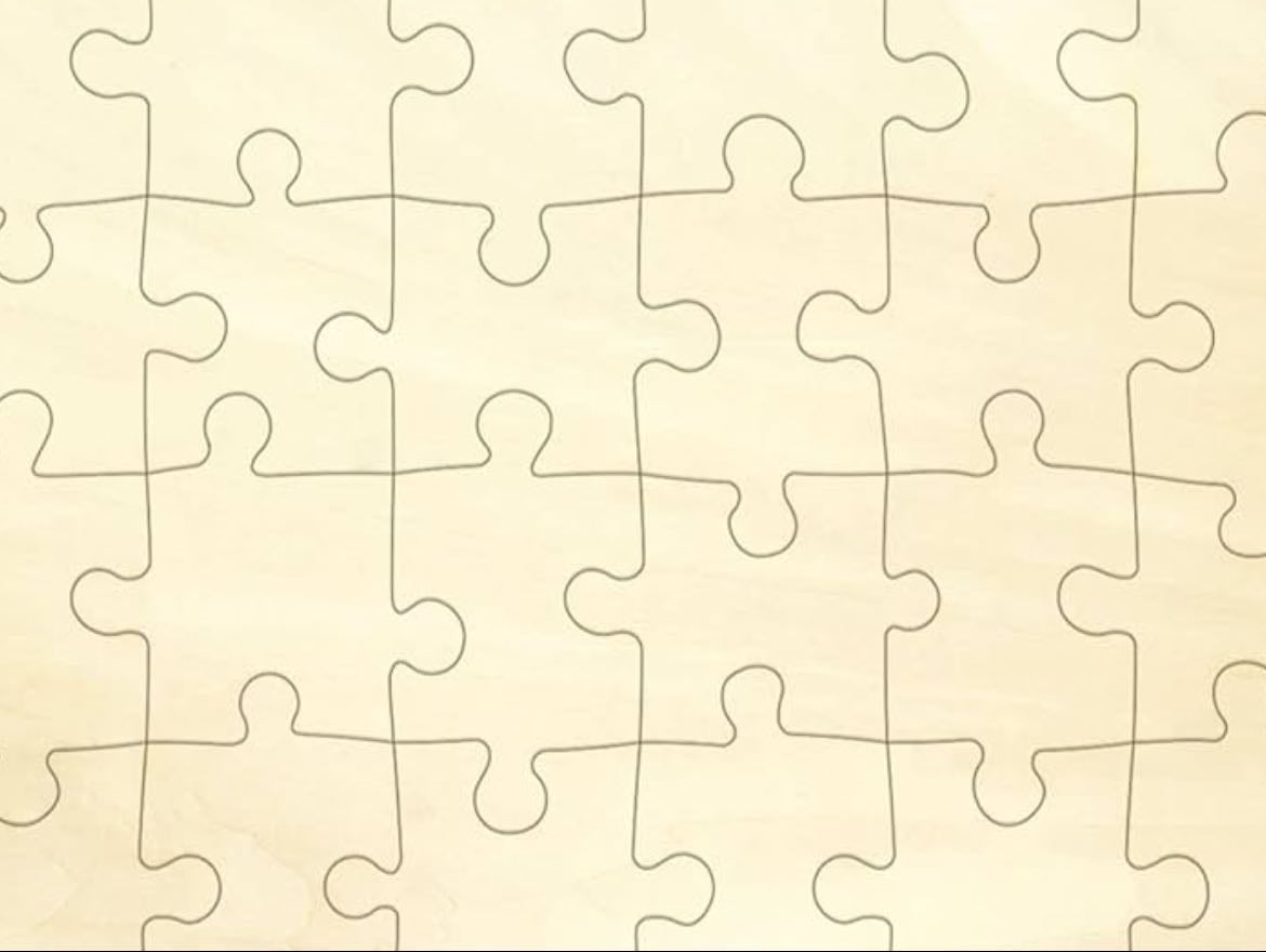 rent a puzzle from the library