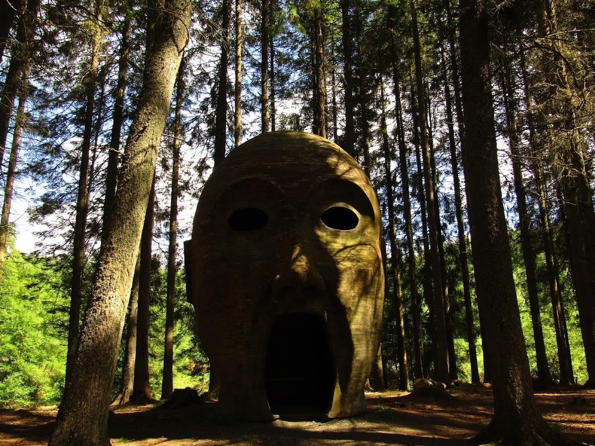 Kielder Forest
