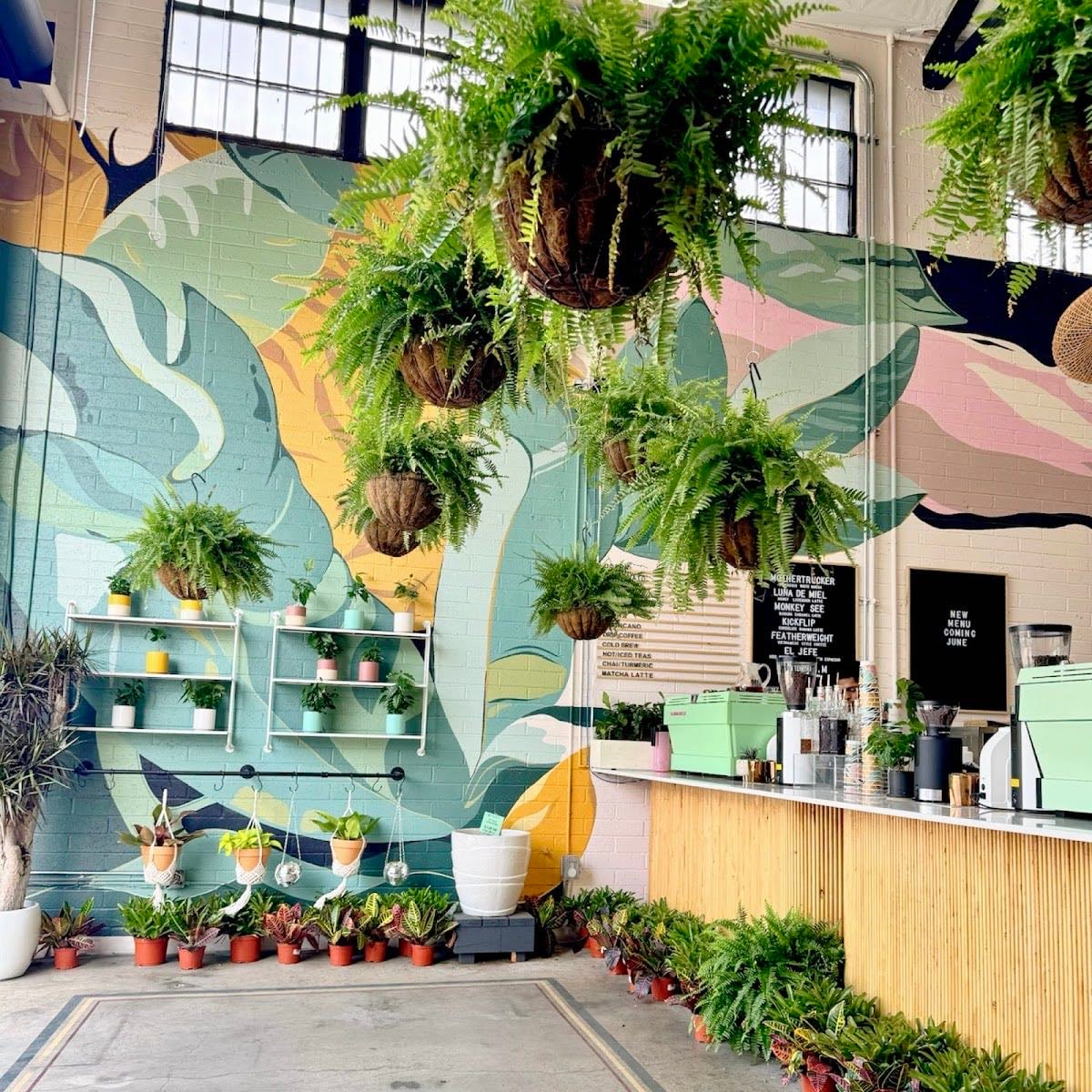Selva Coffee House