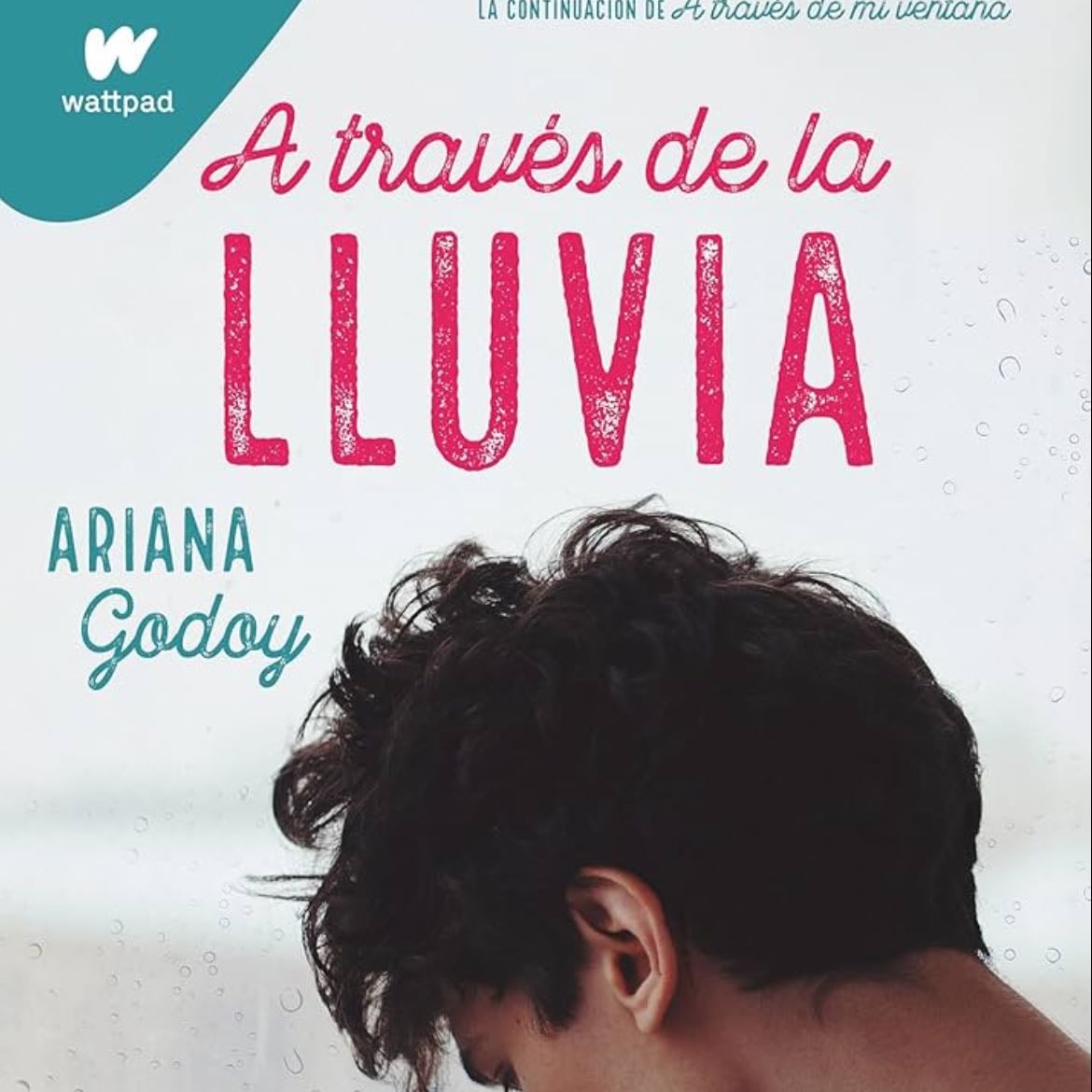 A través de la Lluvia