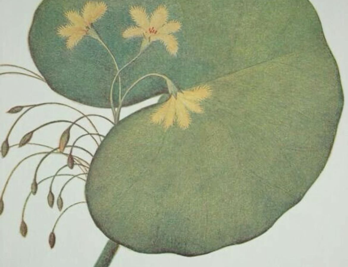 music for my plants - Music hypelist by margaret