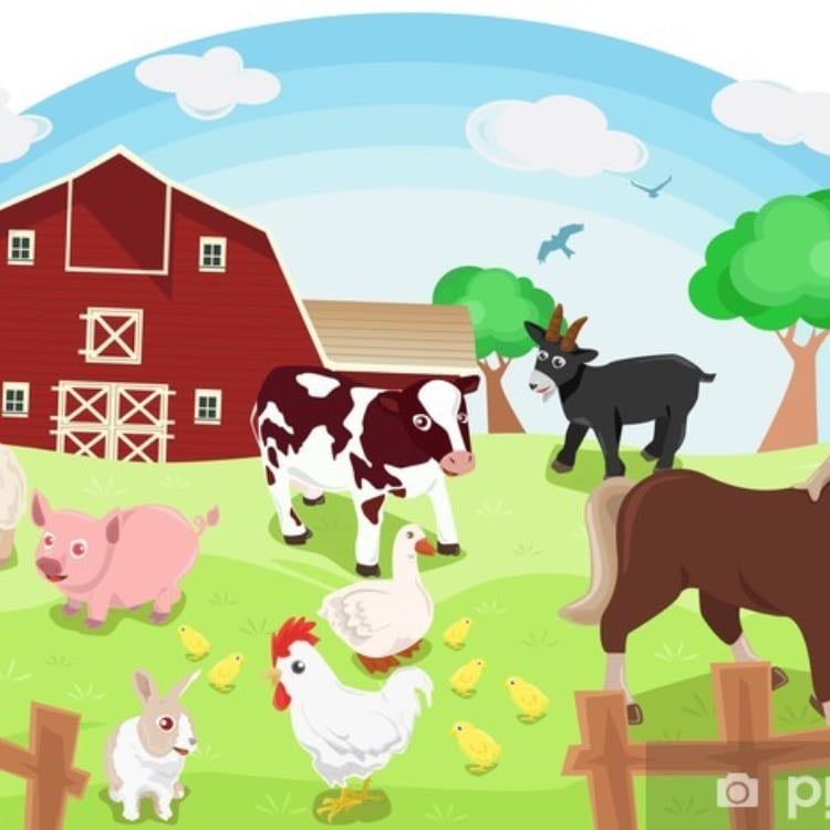 Ferme