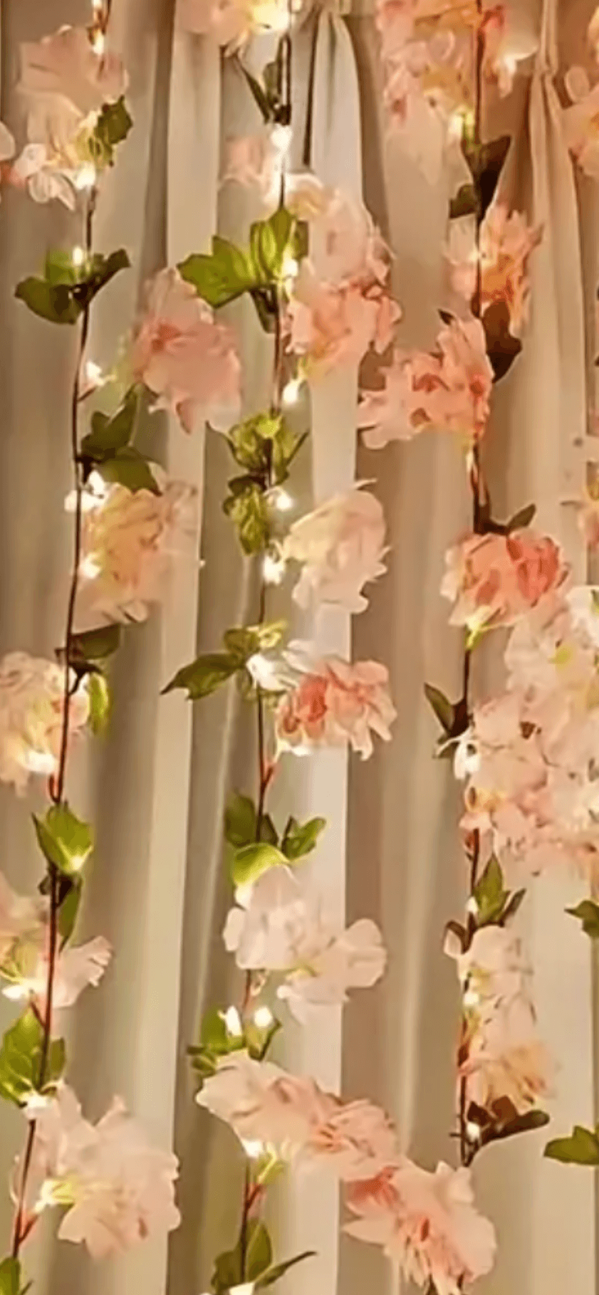 Liane de rose lumineuse