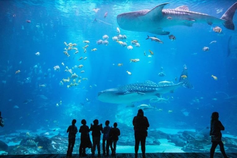 Aquarium