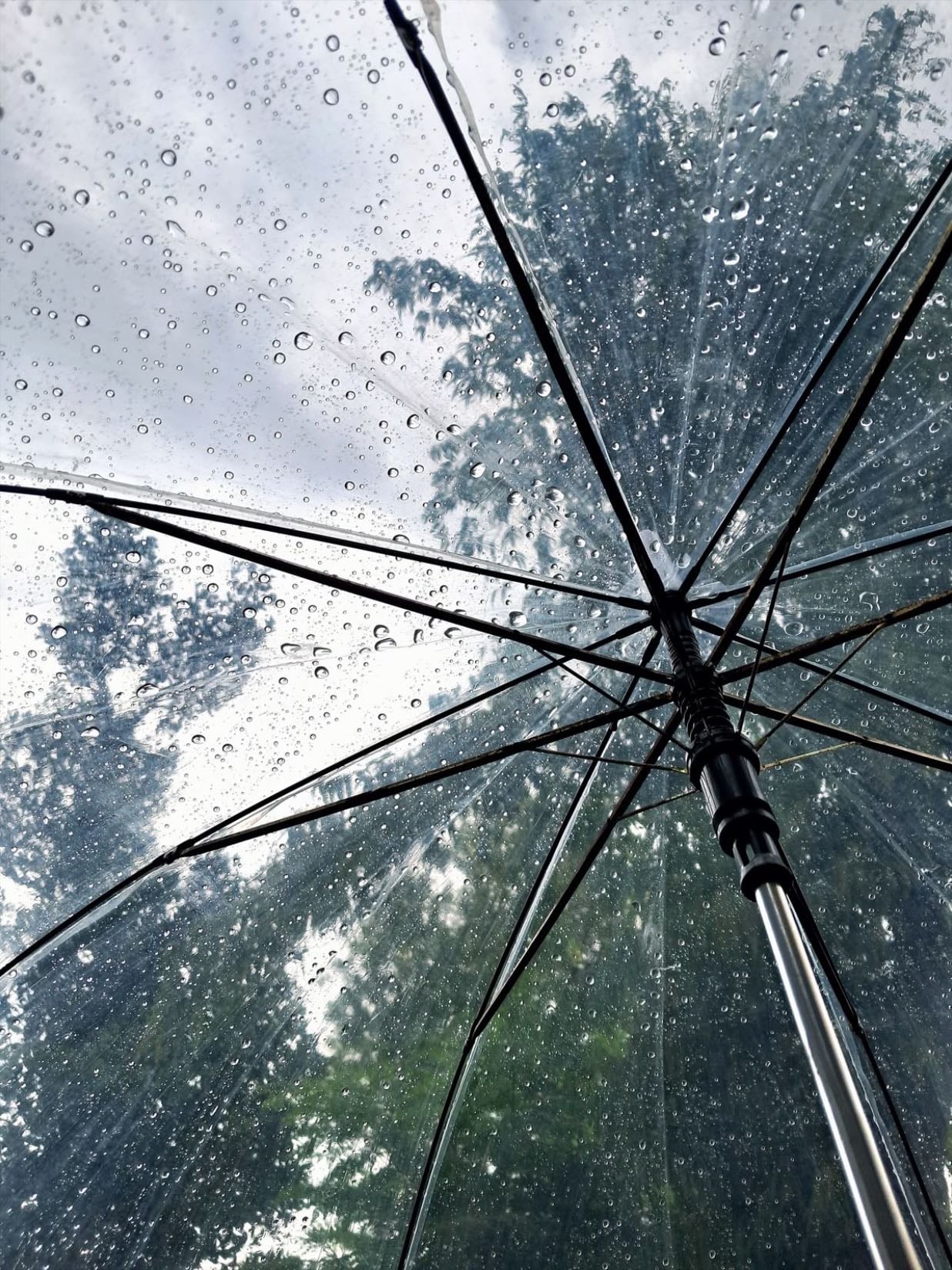 Pluie