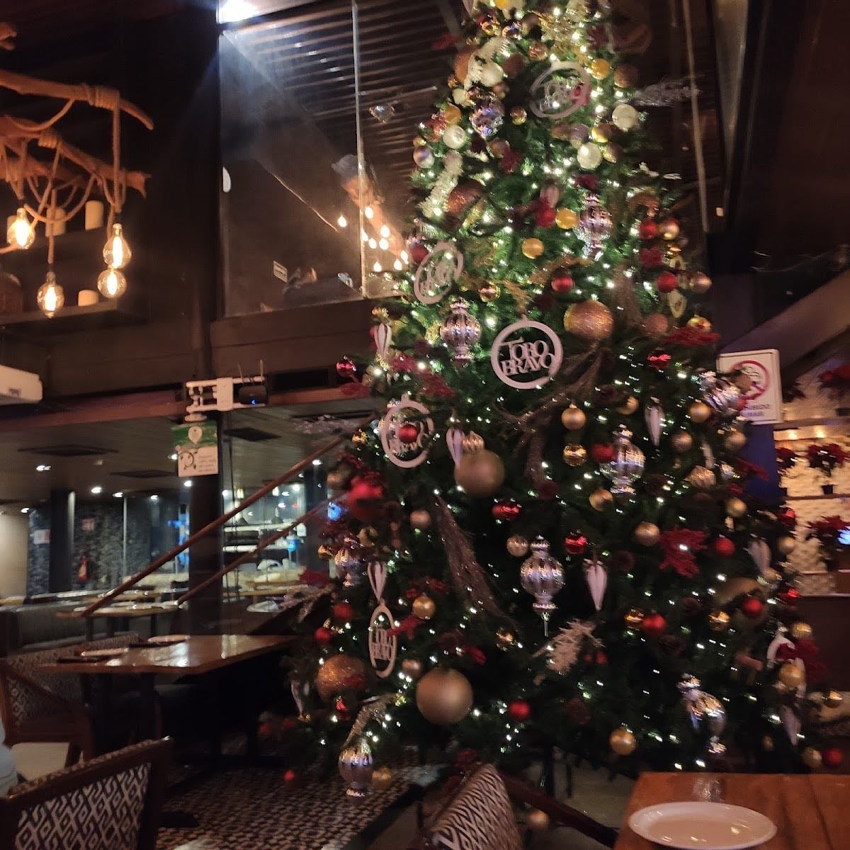 TORO BRAVO RESTAURANT