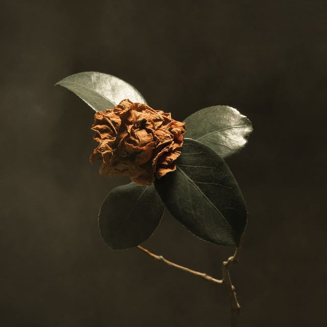 Apollo - Song · St. Paul & The Broken Bones