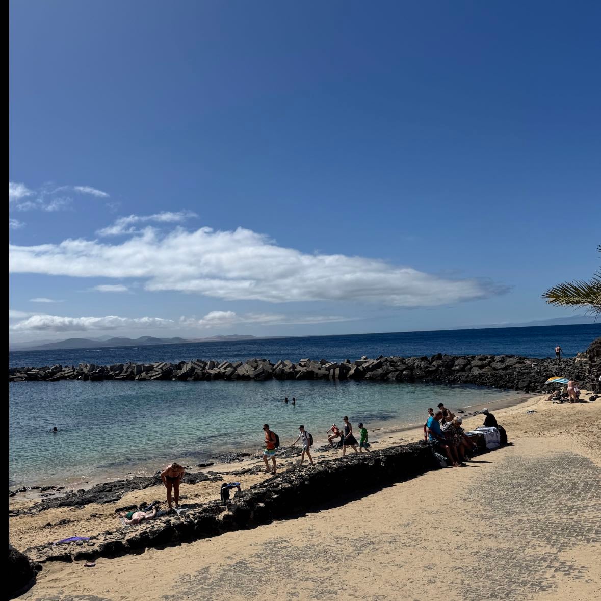 flamingo beach