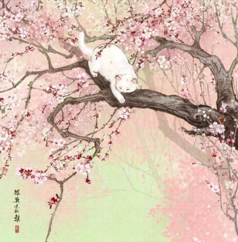 ୧ ‧₊˚ 🍵manga⋅°˖✧ - Books hypelist by trashy