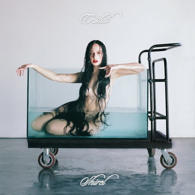 Romper Platos - Song · Shirel